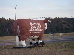 "Turn R/L when you get to the brown cow." This cow sits at a gas station at the intersection of RT 200 and RT 83. 